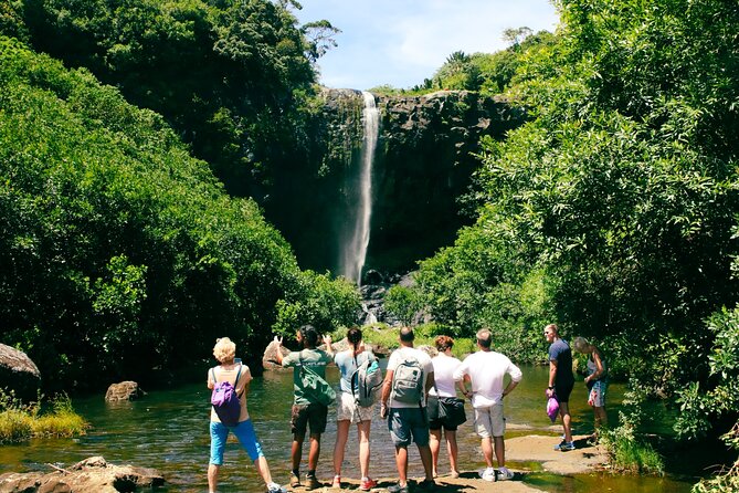 Hiking Sept Cascades (Tamarind Falls) - Half Day - What the guides add to the day