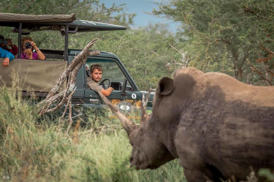 Hluhluwe-Imfolozi: Big 5 Full or Half-Day Safari - Why Hluhluwe-Imfolozi makes a strong safari choice