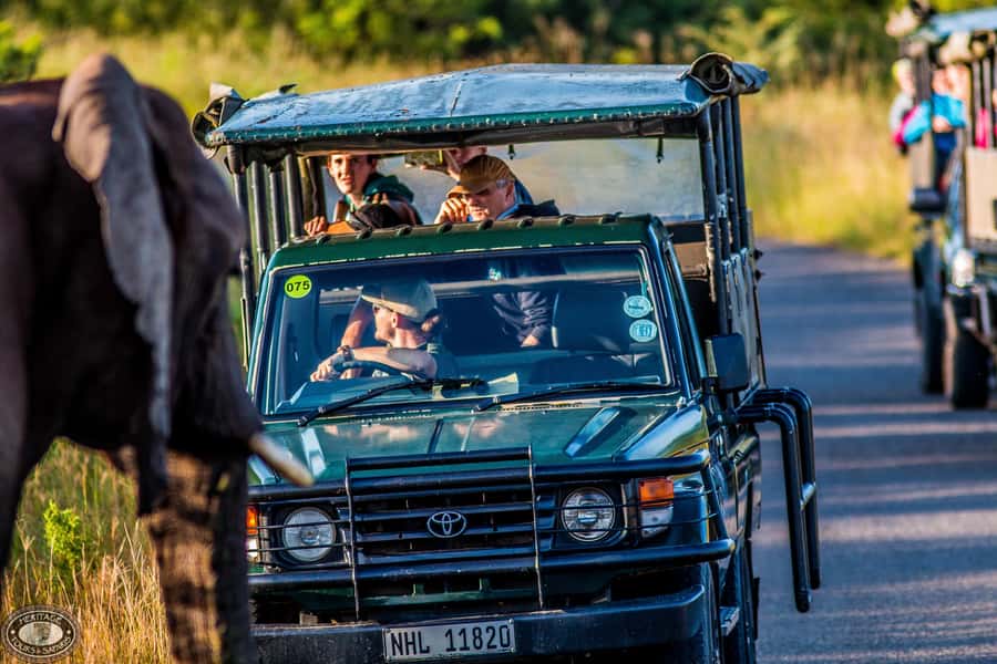 Hluhluwe-Imfolozi: Big 5 Full or Half-Day Safari - How the ranger-led game drive works