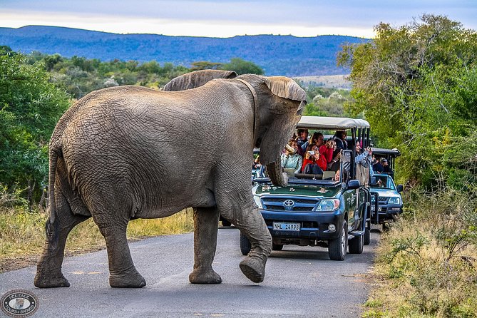 Hluhluwe-Imfolozi Park Full Day Big 5 Safari Tour - The 5:00 am pickup from St Lucia