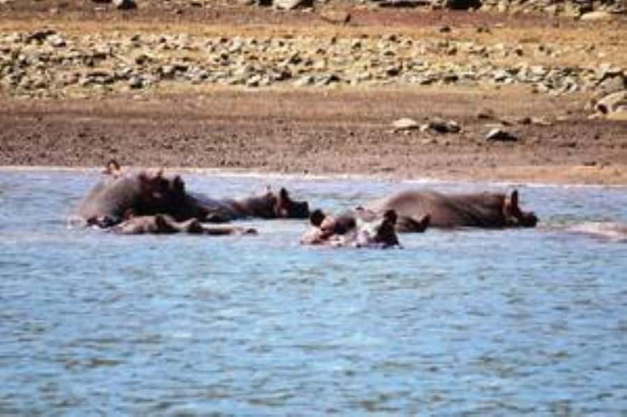 Hoedspruit: Blyde River Canyon Dam Boat Cruise - Key points to know before you go