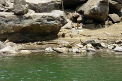 Hoedspruit: Blyde River Canyon Dam Boat Cruise