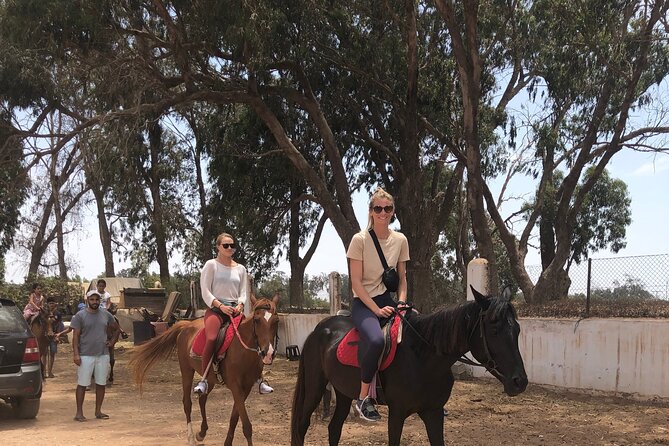 Horse Riding Agadir - From your hotel to the eucalyptus trees