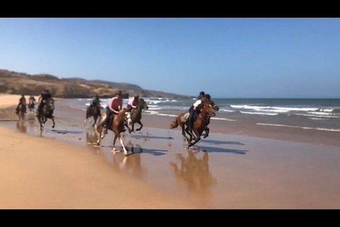 Horse Riding Agadir - What the ride feels like in practice