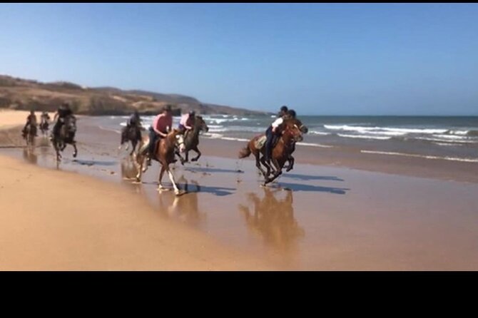 Horse Riding Agadir - Price and value at about $34.88