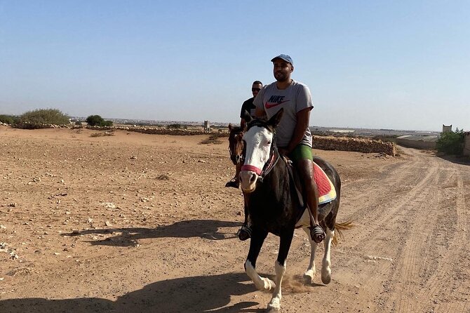 Horse Riding Agadir - Who should book this Agadir horse ride?