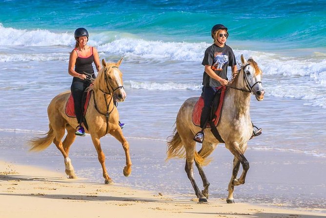 Horse Riding in Sal Island - Cabo Verde - Starting at the Viveiro Botanical Gardens