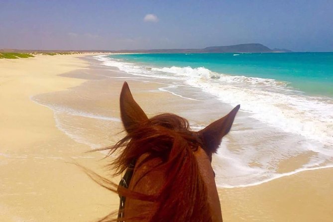 Horse Riding in Sal Island - Cabo Verde - What the guides and horses add