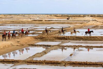 Horse Riding in Sal Island – Cabo Verde
