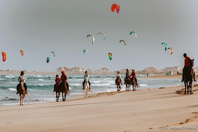 Horse Riding in Sal Island - Cabo Verde - Price, duration, and what you receive