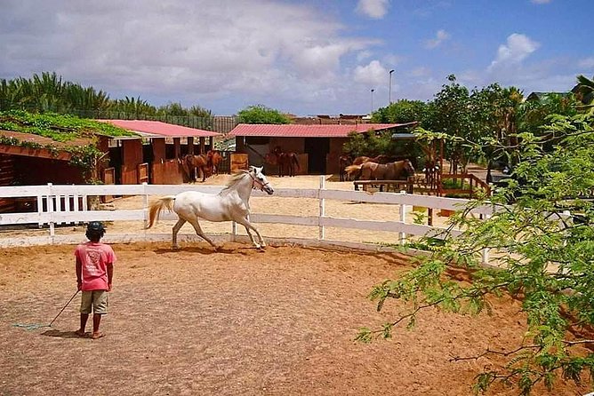 Horse Riding in Sal Island - Cabo Verde - Practical details that can make the ride better