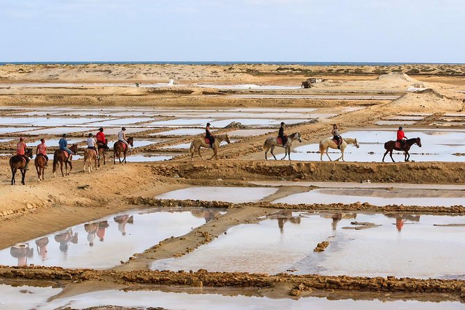 Horse Riding in Sal Island - Cabo Verde - Riding across the dunes to the Big Salt Mines