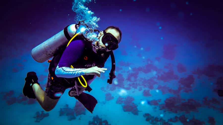 Hurghada: 1, 2, 3, 4, or, 5-Day Scuba Diving Package - Lunch and the second reef