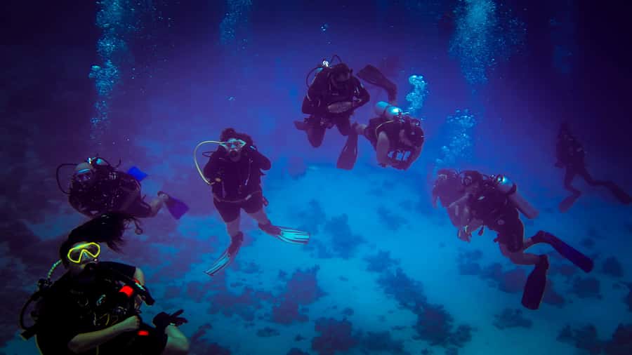 Hurghada: 1, 2, 3, 4, or, 5-Day Scuba Diving Package - The real cost of the package