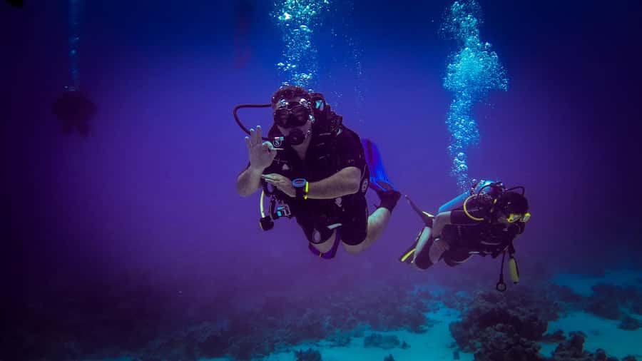 Hurghada: 1, 2, 3, 4, or, 5-Day Scuba Diving Package - Who should book this Red Sea outing