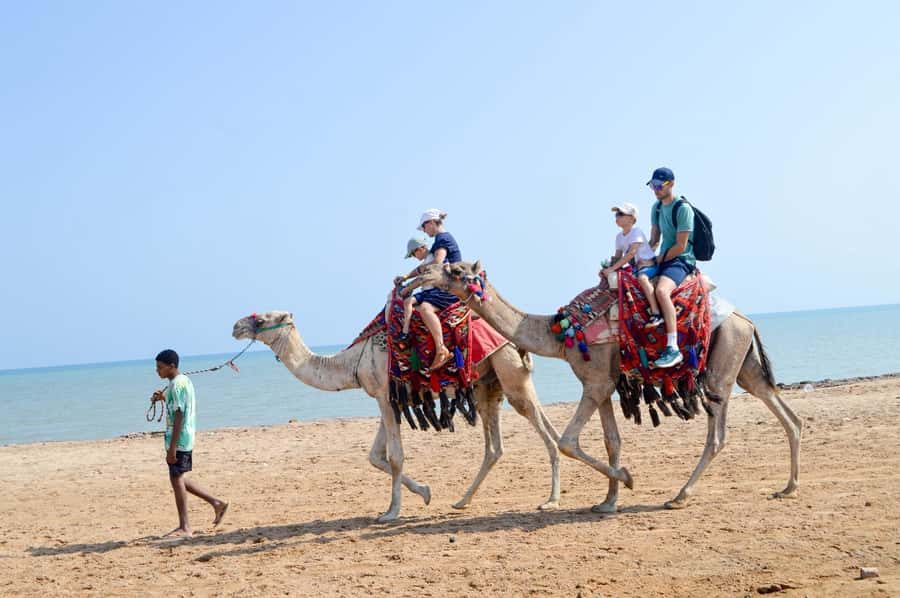 Hurghada: 1-Hour Desert & Beach Camel Ride with Transfers - What the Hurghada camel ride is really like