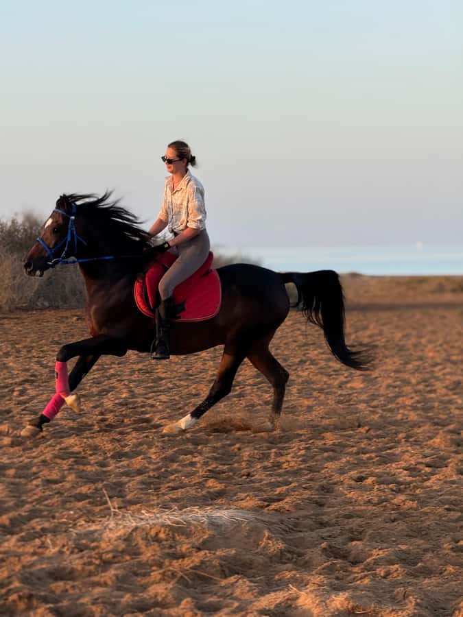 Hurghada: 1-Hour Desert & Beach Camel Ride with Transfers - Is $39 good value?