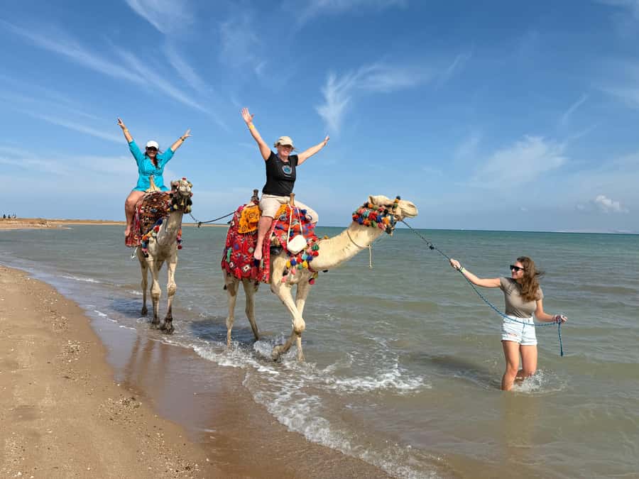 Hurghada: 1-Hour Desert & Beach Camel Ride with Transfers - Who will enjoy this most