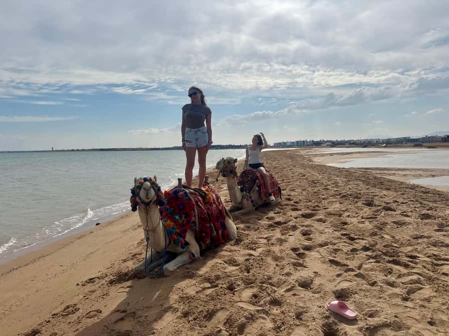 Hurghada: 1-Hour Desert & Beach Camel Ride with Transfers - Small details that improve the outing