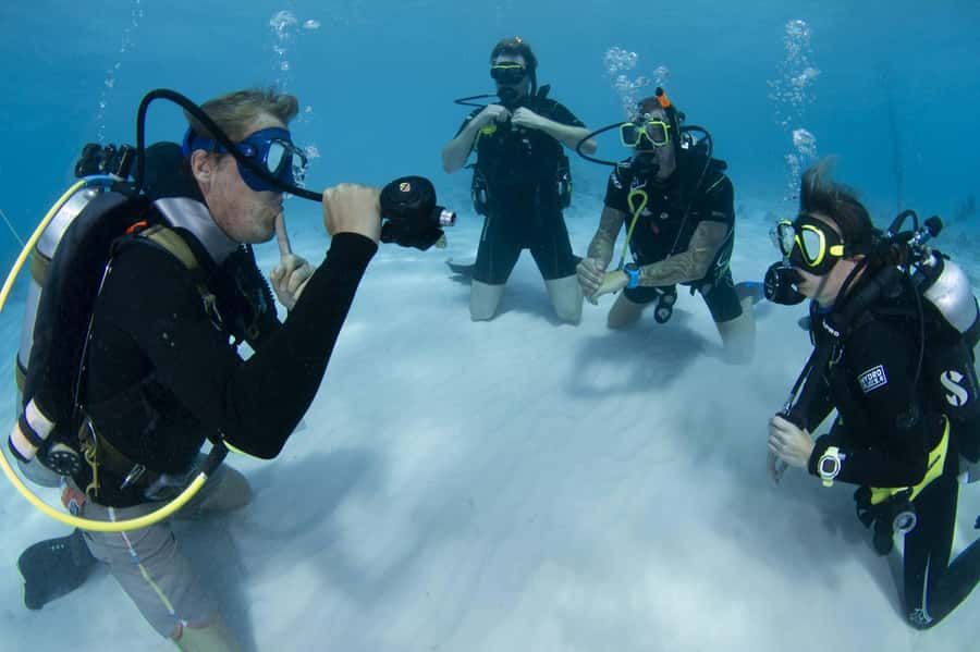 Hurghada: 3-Day PADI Open Water Diving Course - Should you book The Pure Coastal?