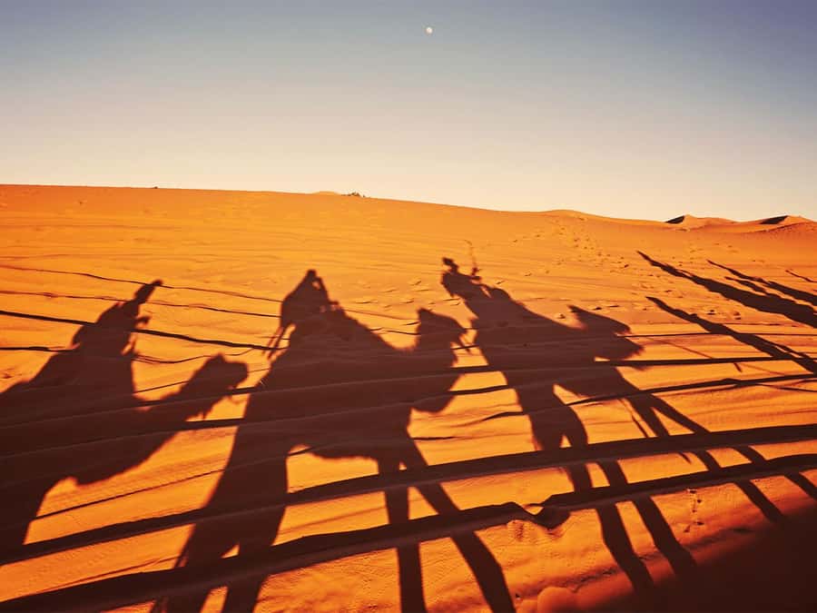 Hurghada: 6-Hour Jeep Desert Safari, Dinner, and Show - Quad bikes and spider buggies: confirm your package