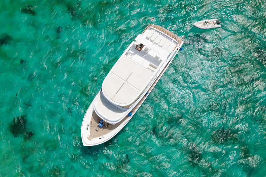 Hurghada: All-Inclusive Elite VIP Dolphin House & Massage - Two reef stops with coral and fish