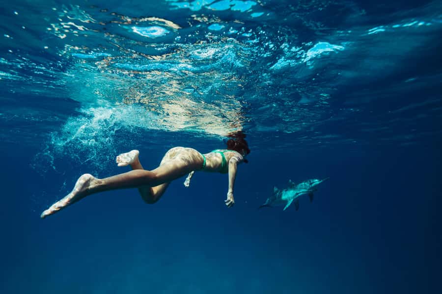 Hurghada: All-Inclusive Elite VIP Dolphin House & Massage - Leaving Hurghada early for the Dolphin House reef