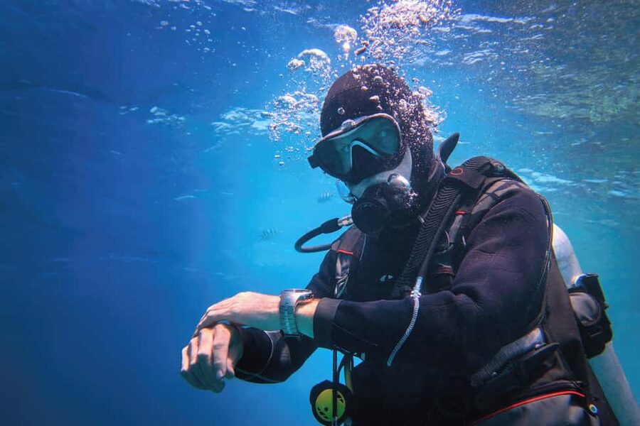 Hurghada: Beginners Scuba Diving Full-Day Boat Trip & Lunch - A first look beneath the Red Sea