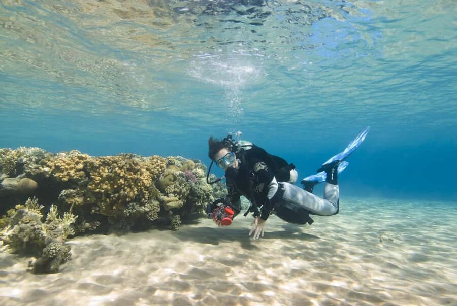Hurghada: Beginners Scuba Diving Full-Day Boat Trip & Lunch - Snorkeling between the two sites