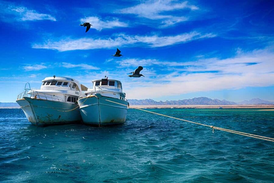 Hurghada: Beginners Scuba Diving Full-Day Boat Trip & Lunch - Lunch, drinks, and a day on deck