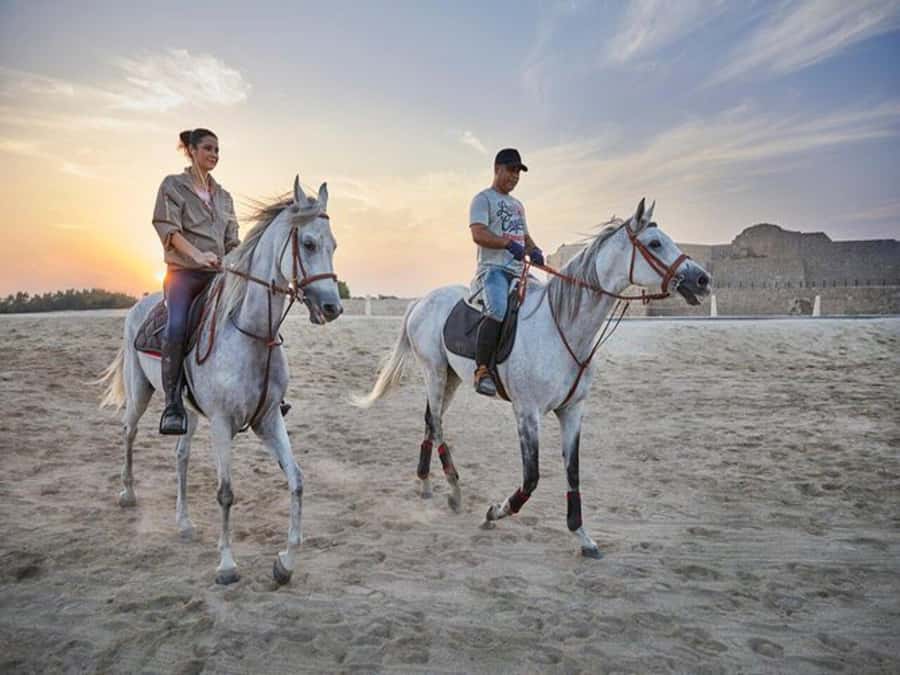 Hurghada: Desert and Sea Horseback Riding Tour with Transfer - From Hurghada’s desert tracks to the Red Sea