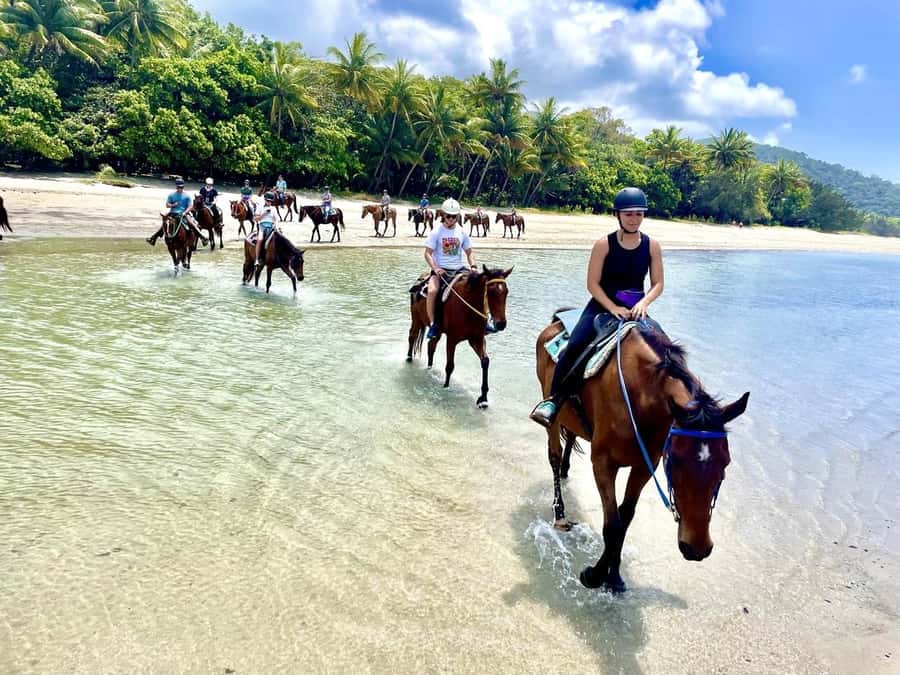 Hurghada: Desert and Sea Horseback Riding Tour with Transfer - How the desert ride feels
