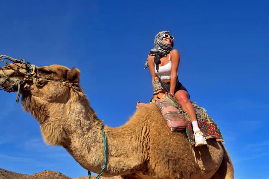 Hurghada: Desert Quad, Bedouin Village, and Camel Ride Tour - The camel stop and Bedouin village
