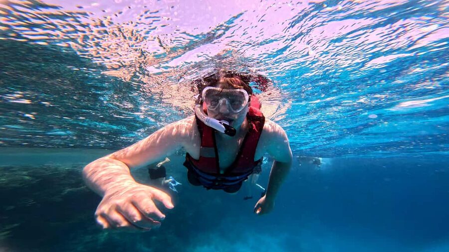 Hurghada: Dolphin Watching Boat Tour with Snorkeling & Lunch - Searching the Red Sea for wild dolphins
