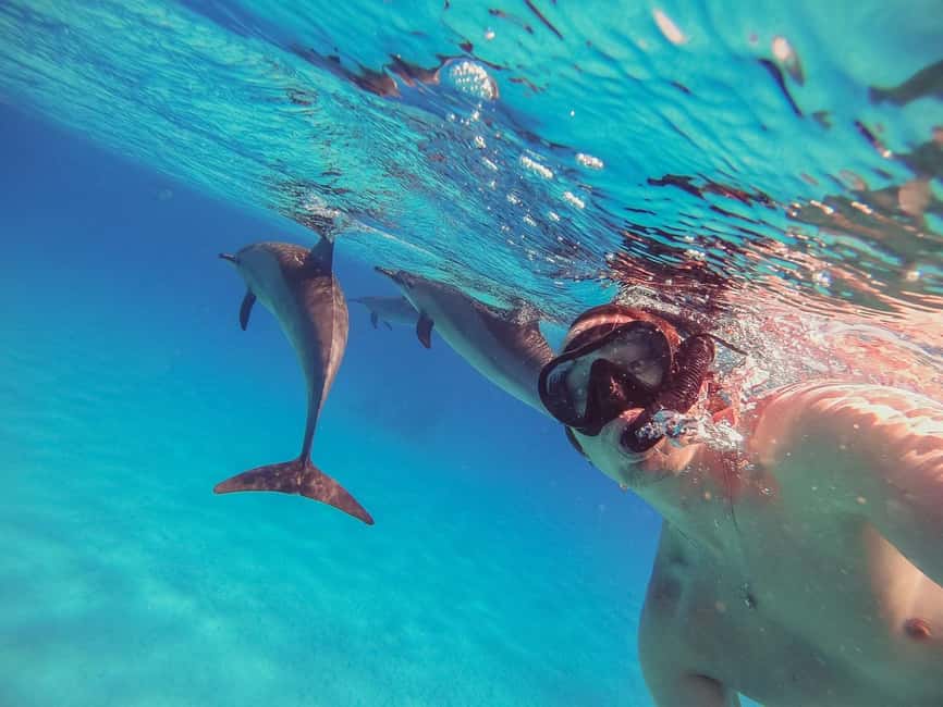 Hurghada: Dolphin Watching Boat Tour with Snorkeling & Lunch - A boat built for a long day