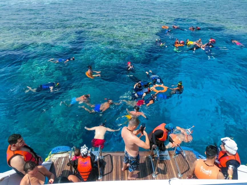 Hurghada: Dolphin Watching Boat Tour with Snorkeling & Lunch - What the crew does well