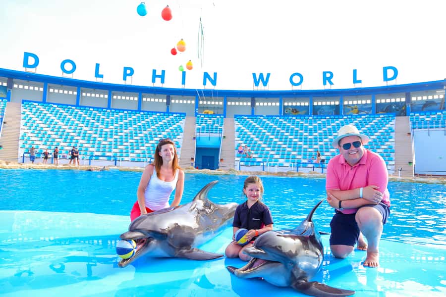 Hurghada: Dolphin World Show with Walruses and Pickup - Key points to know before booking