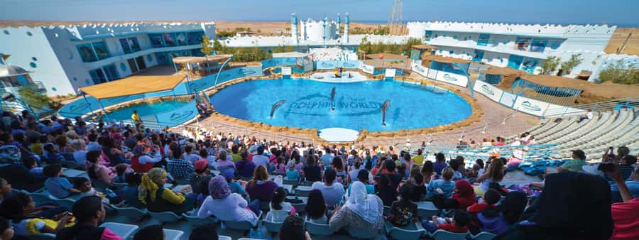 Hurghada: Dolphin World Show with Walruses and Pickup - Getting there from Hurghada and Makadi Bay