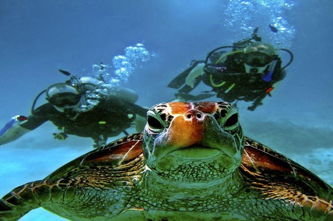 Hurghada: Full-Day Diving Tour with Lunch & Two Dive Sites - Lunch and a rest on board