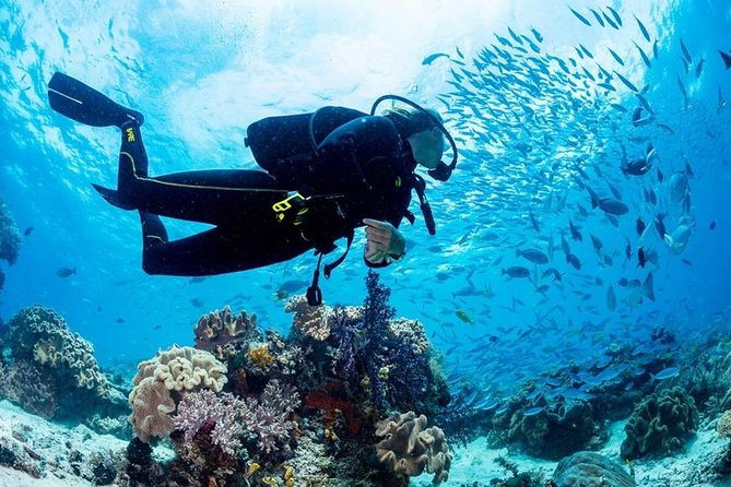 Hurghada: Full-Day Diving Tour with Lunch & Two Dive Sites - What the included equipment means for you