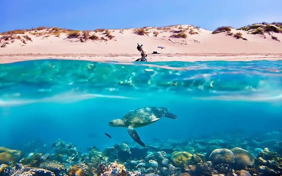 Hurghada: Giftun Island with breakfast, lunch & Water Sports - Starting at Public Beach Number 9
