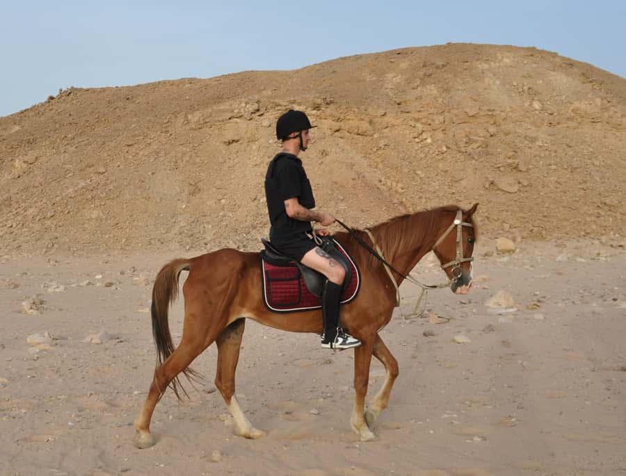Hurghada: Horse Ride, BBQ Dinner, and Stargazing - Dinner at the oasis