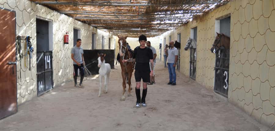 Hurghada: Horse Ride, BBQ Dinner, and Stargazing - Timing, clothing, and practical details