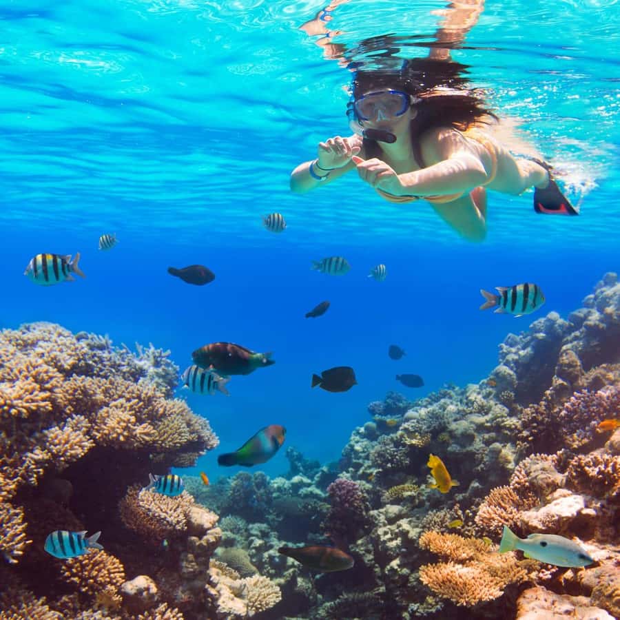 Hurghada:Luxury Diving & Snorkeling inc/Island/Lunch/Massage - The beginner scuba session at Small Giftun