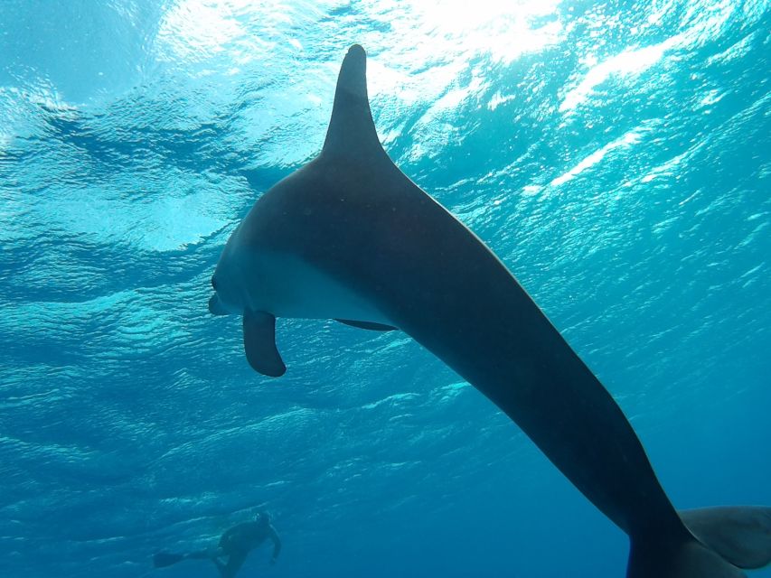 Hurghada: Luxury Orange Bay w/Snorkeling, Massage and Diving - Massage on a moving yacht