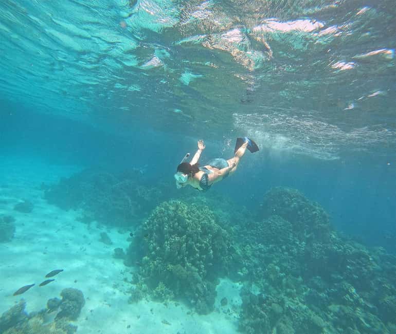 Hurghada or Makadi: Discover the Magic of Dolphin House - Lunch is practical, plentiful, and included