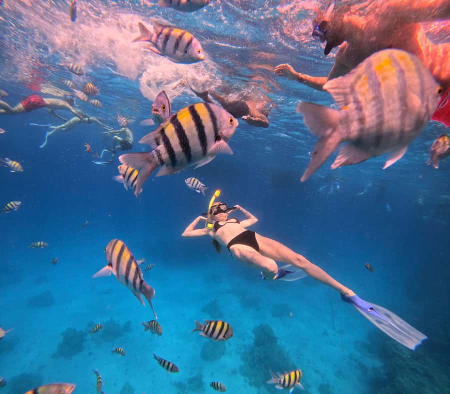 Hurghada: Orange Bay Island Boat Trip w/ Breakfast and Lunch - Who should book this Orange Bay trip?