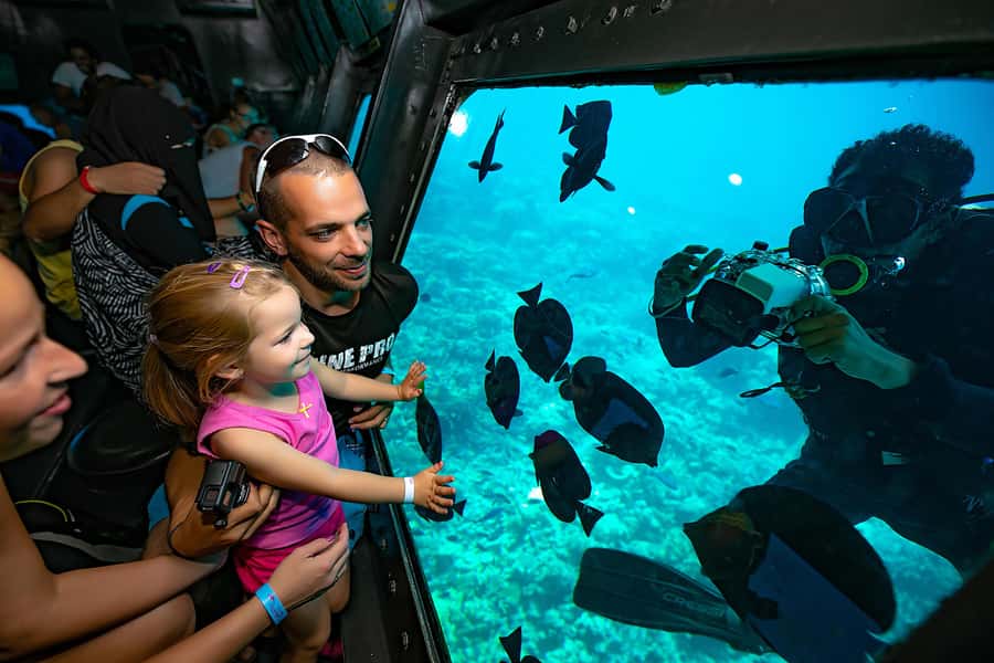 Hurghada: Panoramic Semi-Submarine Cruise with Snorkeling - What the reef experience is really like