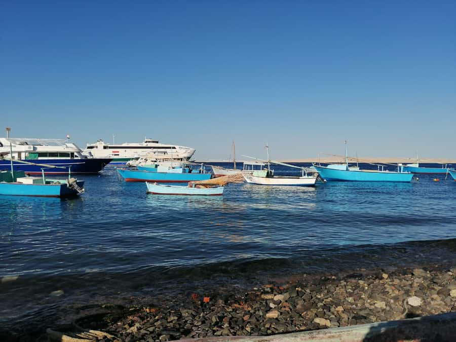 Hurghada: Private Guide City Tour & Shopping Stop - The fish market and Hurghada’s working side
