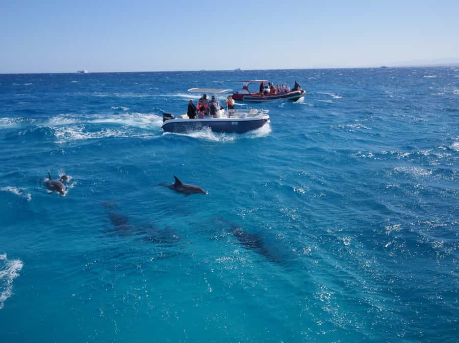 Hurghada: Private Speedboat to Orange Bay and White Island - Who will enjoy this Hurghada outing most